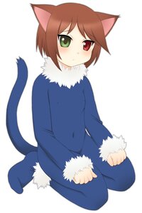 Rating: Safe Score: 0 Tags: 1boy animal_ears blush brown_hair cat_ears cat_tail fur_trim green_eyes heterochromia image otoko_no_ko red_eyes sitting solo souseiseki striped tail wariza User: admin