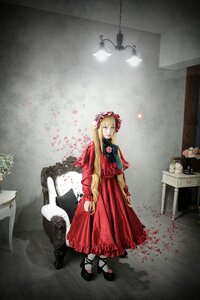 Rating: Safe Score: 0 Tags: 1girl blonde_hair blood blue_eyes doll dress flower red_dress shinku shoes solo stuffed_animal User: admin