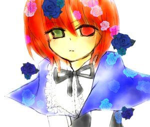 Rating: Safe Score: 0 Tags: 1girl blue_flower blue_rose flower green_eyes image orange_hair purple_rose red_eyes ribbon rose short_hair solo souseiseki yellow_flower yellow_rose User: admin