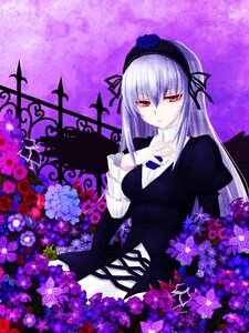 Rating: Safe Score: 0 Tags: 1girl black_wings commentary_request dress flower hairband hydrangea image kou_(garakuta_teikoku) long_hair long_sleeves looking_at_viewer purple_flower purple_rose red_eyes rose rozen_maiden silver_hair solo suigintou wings User: admin