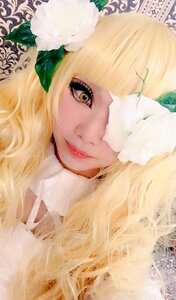 Rating: Safe Score: 0 Tags: 1girl bangs blonde_hair blunt_bangs closed_mouth eyelashes flower kirakishou leaf lips long_hair looking_at_viewer mole portrait solo white_flower User: admin