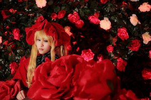 Rating: Safe Score: 0 Tags: 1girl blonde_hair blue_eyes dress flower lips long_hair long_sleeves looking_at_viewer red_dress red_flower red_rose rose shinku solo User: admin