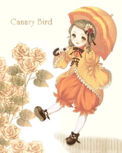 Rating: Safe Score: 0 Tags: 1girl blonde_hair bloomers brown_hair bug butterfly dress drill_hair flower frills full_body green_eyes holding_umbrella image insect kanaria long_sleeves pantyhose parasol pink_flower pink_rose red_flower ribbon rose shoes short_hair solo striped umbrella vertical_stripes white_legwear white_rose User: admin
