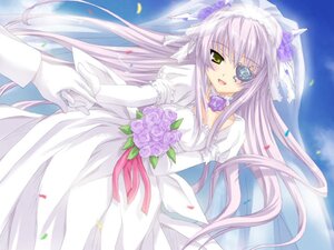 Rating: Safe Score: 0 Tags: 1girl artist_request barasuishou blue_flower blue_rose bouquet bridal_veil bride dress elbow_gloves eyepatch flower formal gloves image long_hair long_sleeves photoshop_(medium) rose rozen_maiden smile solo veil very_long_hair wedding wedding_dress white_gloves white_hair User: admin