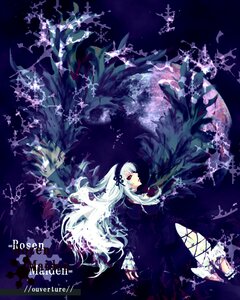 Rating: Safe Score: 0 Tags: 1girl auto_tagged black_dress black_wings copyright_name dress floating_hair flower frills hairband image lolita_fashion long_hair long_sleeves profile red_eyes solo suigintou very_long_hair white_hair wings User: admin