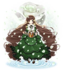 Rating: Safe Score: 0 Tags: 1girl brown_hair dress drill_hair flower frills full_body green_dress green_eyes heterochromia holding image long_hair long_sleeves petals red_eyes solo standing suiseiseki twin_drills very_long_hair watering_can User: admin