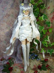 Rating: Safe Score: 0 Tags: 1girl doll dress flower frills hair_ornament kirakishou long_hair red_flower red_rose rose solo thighhighs thorns very_long_hair vines white_hair yellow_eyes User: admin