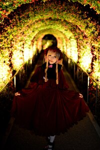 Rating: Safe Score: 0 Tags: 1girl blonde_hair bonnet bow curtsey dress flower red_dress shinku skirt_hold solo standing User: admin