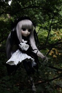 Rating: Safe Score: 0 Tags: 1girl bangs black_eyes blunt_bangs blurry doll dress frills gothic_lolita lolita_fashion long_hair long_sleeves outdoors solo standing suigintou very_long_hair User: admin