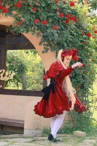 Rating: Safe Score: 0 Tags: 1girl bush dress flower little_red_riding_hood_(grimm) looking_back pantyhose red_dress red_flower red_rose rose shinku solo User: admin