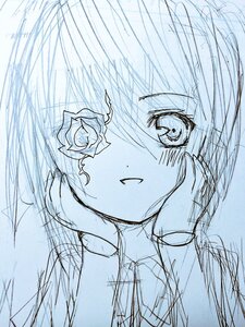 Rating: Safe Score: 0 Tags: 1girl blue_flower blue_rose blue_theme blush flower image kirakishou looking_at_viewer monochrome rose sketch smile solo User: admin