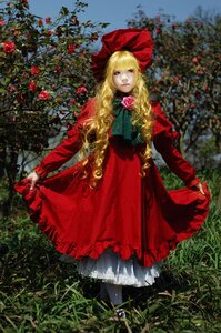 Rating: Safe Score: 0 Tags: 1girl blonde_hair dress flower lips long_hair pantyhose red_dress rose shinku solo User: admin