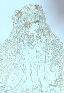 Rating: Safe Score: 0 Tags: 1girl blush dress flower hair_ornament image kirakishou long_hair monochrome no_nose solo very_long_hair wavy_hair User: admin