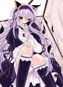 Rating: Safe Score: 0 Tags: 1girl animal_ears bad_id bad_pixiv_id blush cat_ears dress feathers flower frills gothic_lolita hairband headband image kneehighs lace lolita_fashion long_hair long_sleeves pink_eyes purple_eyes purple_hair rose rozen_maiden shii_(niku-9) socks solo suigintou tail wings User: admin