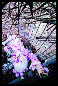 Rating: Safe Score: 0 Tags: 1girl barasuishou dress flower hair_flower hair_ornament letterboxed purple_eyes solo white_hair User: admin