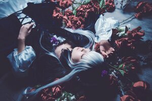 Rating: Safe Score: 0 Tags: 1girl black_dress closed_eyes dress flower frilled_sleeves frills long_hair long_sleeves red_flower rose solo suigintou water User: admin