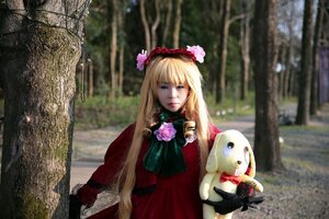 Rating: Safe Score: 0 Tags: 1girl blonde_hair blue_eyes blurry bow dog dress flower long_hair red_dress rose shinku solo User: admin