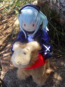 Rating: Safe Score: 0 Tags: 1girl animal doll grass long_hair outdoors red_eyes ribbon solo suigintou virtual_youtuber User: admin