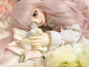 Rating: Safe Score: 0 Tags: 1girl bangs doll dress flower holding kirakishou lace lips long_hair long_sleeves rose simple_background solo upper_body white_flower User: admin