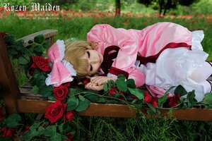 Rating: Safe Score: 0 Tags: 1girl blonde_hair closed_eyes dress flower garden hinaichigo lying on_side pink_rose plant red_flower red_rose rose solo User: admin
