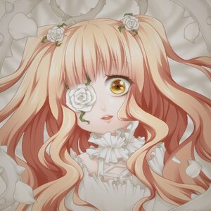 Rating: Safe Score: 0 Tags: 1girl flower hair_flower hair_ornament image kirakishou long_hair rose solo thorns two_side_up white_flower white_rose yellow_eyes User: admin
