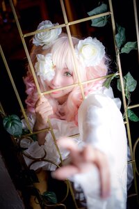 Rating: Safe Score: 0 Tags: 1girl aiming blurry blurry_foreground depth_of_field drawing_bow flower hair_ornament kirakishou looking_at_viewer rose solo white_flower white_rose yellow_eyes User: admin
