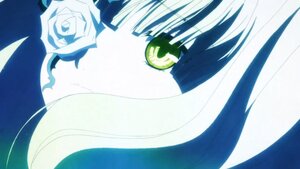 Rating: Safe Score: 0 Tags: 1girl auto_tagged close-up flower image kirakishou moon rose solo white_flower white_rose User: admin