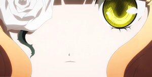 Rating: Safe Score: 0 Tags: flower hat image kirakishou rose silent_comic solo striped white_rose User: admin