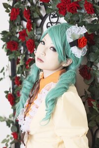 Rating: Safe Score: 0 Tags: 1girl aqua_eyes aqua_hair blurry depth_of_field flower kanaria lips plant red_flower red_rose rose rose_petals solo thorns upper_body User: admin