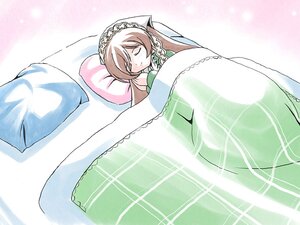 Rating: Safe Score: 0 Tags: 1girl blush braid brown_hair closed_eyes dress image long_hair lying pillow sleeping solo suiseiseki veil wedding_dress User: admin