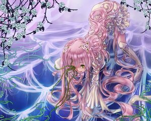 Rating: Safe Score: 0 Tags: 1girl boots dress flower green_eyes image kirakishou long_hair pink_hair rose solo thorns very_long_hair vines white_rose User: admin