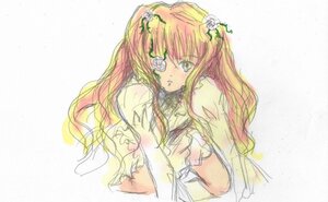 Rating: Safe Score: 0 Tags: 1girl flower green_eyes hair_flower hair_ornament image kirakishou long_hair looking_at_viewer orange_hair pink_hair rose simple_background solo upper_body User: admin