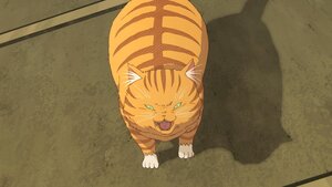 Rating: Safe Score: 0 Tags: cat full_body no_humans solo standing User: admin