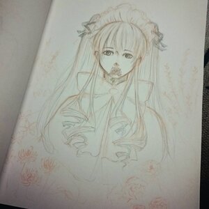 Rating: Safe Score: 0 Tags: 1girl bangs dress flower frills image long_hair long_sleeves looking_at_viewer monochrome photo rose shinku solo traditional_media very_long_hair User: admin