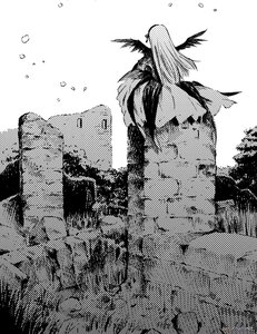 Rating: Safe Score: 0 Tags: 1girl feathered_wings fence greyscale halftone halftone_background head_wings highres image long_hair monochrome polka_dot polka_dot_background polka_dot_panties rozen_maiden ruins sitting skirt solo suigintou toshi_hiroshi wings User: admin