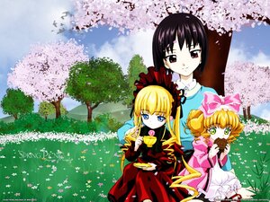 Rating: Safe Score: 0 Tags: 3girls bangs black_hair blonde_hair blue_eyes blue_sky blunt_bangs blush bow brown_eyes cherry_blossoms cloud copyright_name cup dango day dress drill_hair eating food frills grass green_eyes hair_bow hina_ichigo hinaichigo holding image juliet_sleeves kashiwaba_tomoe long_hair long_sleeves looking_at_viewer multiple_girls open_mouth outdoors pair petals picnic pink_bow pink_dress pink_flower pink_ribbon puffy_sleeves red_dress red_eyes ribbon sanshoku_dango shinku shirt short_hair sidelocks sitting sky smile spring_(season) tree wagashi watermark User: admin
