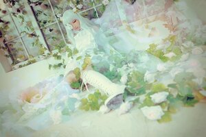 Rating: Safe Score: 0 Tags: 1girl blurry closed_eyes depth_of_field dress flower kirakishou leaf long_hair sitting solo water white_dress white_hair User: admin