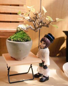 Rating: Safe Score: 0 Tags: 1girl bangs brown_eyes brown_hair doll hat long_sleeves looking_at_viewer short_hair sitting solo souseiseki User: admin