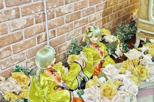 Rating: Safe Score: 0 Tags: 2girls blonde_hair bouquet brick_wall doll dress flower green_hair kanaria multiple_girls rose short_hair solo white_flower white_rose yellow_dress yellow_flower yellow_rose User: admin