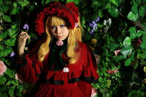 Rating: Safe Score: 0 Tags: 1girl blonde_hair blue_eyes bonnet dress flower jewelry lips long_hair plant red_dress ring rose shinku solo User: admin