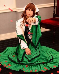 Rating: Safe Score: 0 Tags: 1girl braid brown_hair dress green_dress long_hair looking_at_viewer petals rose_petals sitting solo suiseiseki twin_braids User: admin