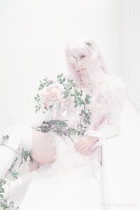 Rating: Safe Score: 0 Tags: 1girl artist_name blurry depth_of_field dress flower hair_ornament kirakishou long_hair looking_at_viewer plant sitting solo striped thighhighs vertical_stripes white_dress white_flower white_hair white_theme User: admin