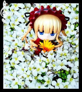 Rating: Safe Score: 0 Tags: 1girl bangs black_border blonde_hair blue_eyes blunt_bangs circle_cut daisy doll dress flower letterboxed lily_(flower) long_hair pillarboxed shinku solo sunflower white_flower windowboxed User: admin