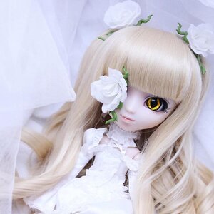 Rating: Safe Score: 0 Tags: 1girl bangs blurry closed_mouth doll flower kirakishou lace leaf lips long_hair looking_at_viewer monster_girl rain solo white_flower white_hair yellow_eyes User: admin