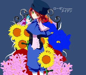 Rating: Safe Score: 0 Tags: 2girls auto_tagged flower green_eyes hat image multiple_girls pair red_eyes red_hair short_hair skirt souseiseki suiseiseki sunflower yellow_flower User: admin