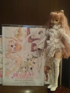 Rating: Safe Score: 0 Tags: blonde_hair blue_eyes boots doll dress flower gloves hair_ornament kaname_madoka kirakishou long_hair multiple_girls pink_hair ribbon solo thighhighs User: admin
