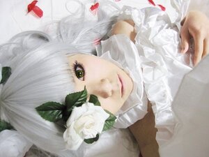 Rating: Safe Score: 0 Tags: 1girl bangs bug butterfly closed_mouth flower frills green_eyes insect kirakishou lips looking_at_viewer smile solo white_hair User: admin