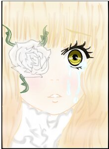 Rating: Safe Score: 0 Tags: bangs border close-up clover face flower image kirakishou leaf letterboxed plant portrait solo white_flower User: admin
