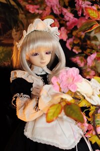 Rating: Safe Score: 0 Tags: 1girl bangs blurry blurry_background blurry_foreground closed_mouth depth_of_field doll flower frills holding long_sleeves looking_at_viewer maid_headdress photo red_eyes solo suigintou upper_body User: admin