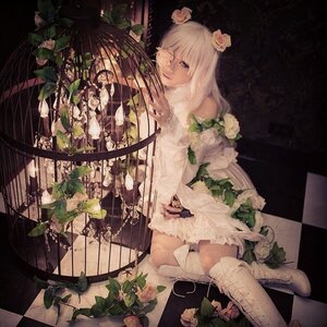 Rating: Safe Score: 0 Tags: 1girl argyle argyle_background argyle_legwear bathtub board_game checkered checkered_background checkered_floor chess_piece flower kirakishou leaf long_hair on_floor perspective pink_rose plant rose sitting solo thorns tile_floor tile_wall tiles vines white_hair white_rose User: admin